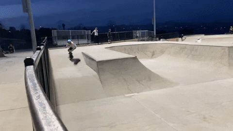 Skatestrap